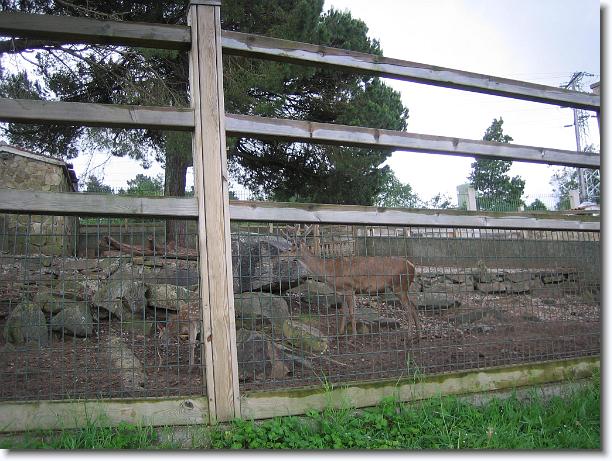 Diapositiva siguiente